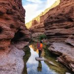 تور نوروزی ۱۴۰۴ طبس