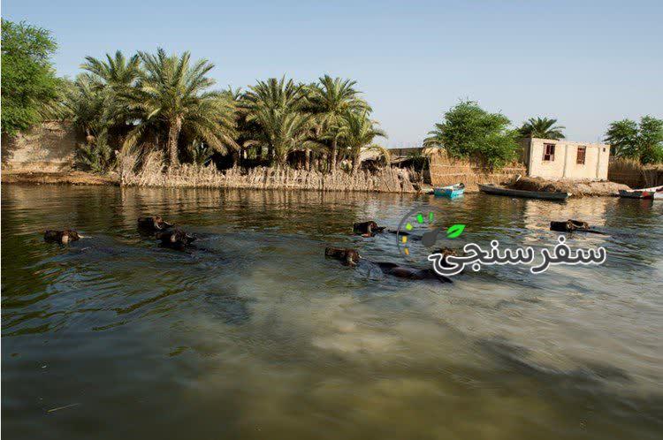 جشنواره تورهای نوروزی خوزستان 1404