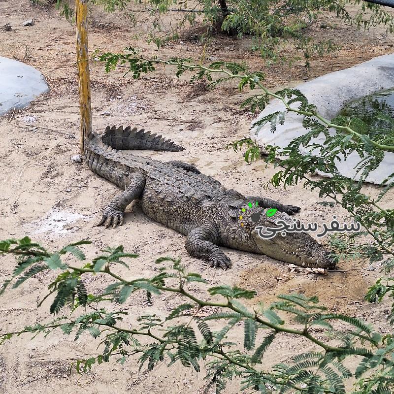 حمید بلوچ لیدر محلی چابهار و سرباز