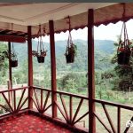 اجاره کلبه جنگلی در قلعه رودخان فومن باتمام امکانات فاطمه احمدی پور