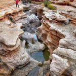 تور نوروزی ۱۴۰۴ طبس