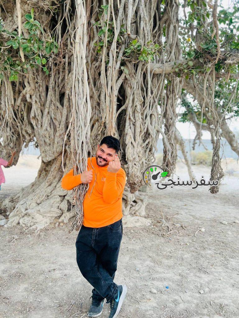 تور نوروزی ۱۴۰۴ پارسیان