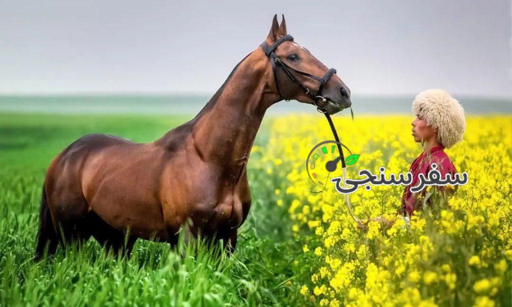 تور ترکمن صحرا نوروز 1404