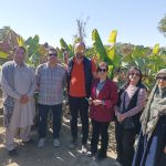 رشید پناه لیدر محلی با خودرو پژو پارس در چابهار