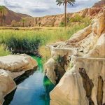 تور نوروزی ۱۴۰۴ طبس