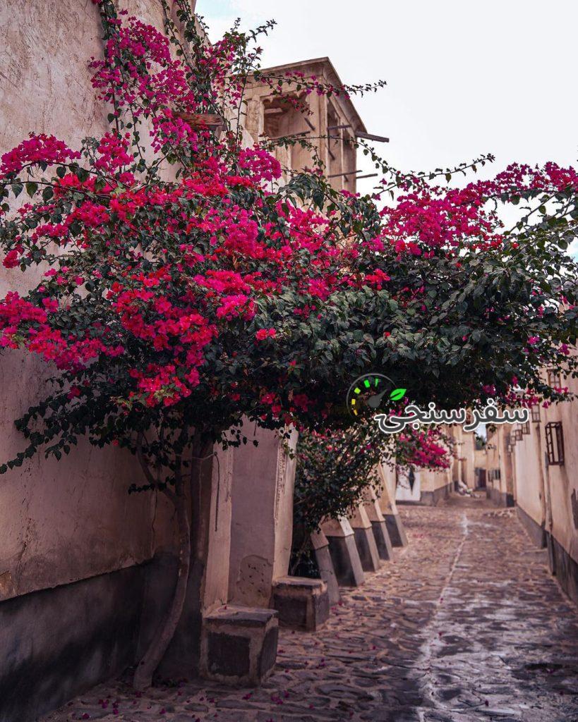 تور نوروز ۱۴۰۴ سنتورینی ایران تا جزیره هندورابی