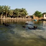 مرضیه کیمیافر راهنمای فرهنگی در اهواز خوزستان