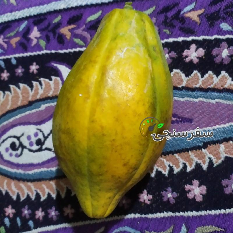 حمید بلوچ لیدر محلی چابهار و سرباز