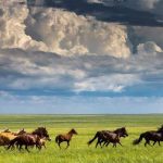 تور ترکمن صحرا نوروز 1404