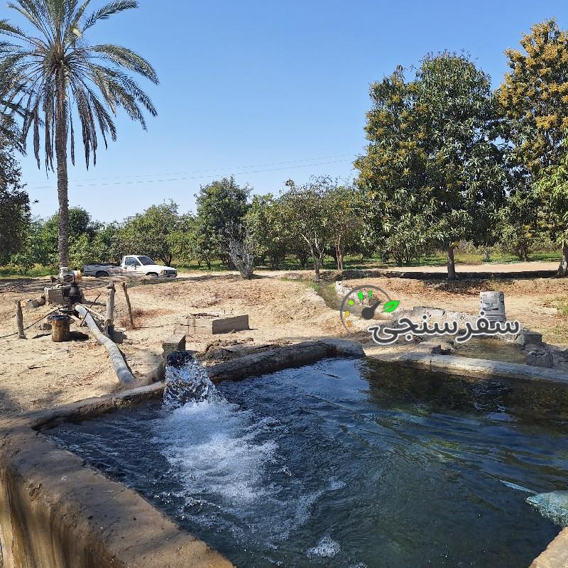 حمید بلوچ لیدر محلی چابهار و سرباز