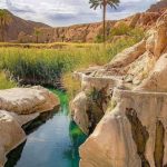 تور نوروزی ۱۴۰۴ طبس