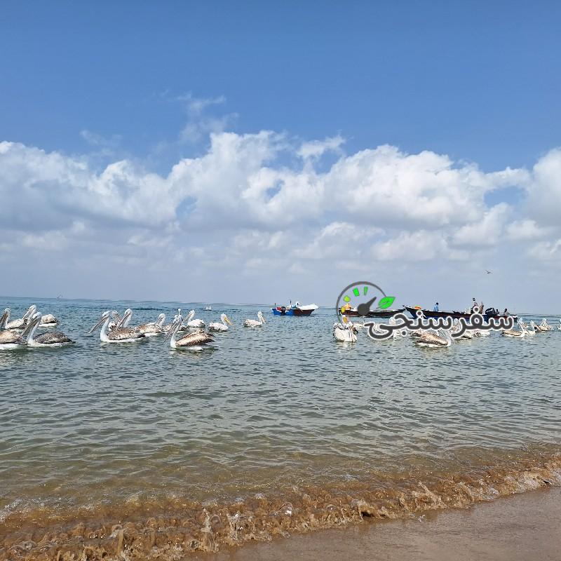 حمید بلوچ لیدر محلی چابهار و سرباز