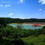 تور یک روزه دریاچه و جنگل برنجستانک نوروز 1404