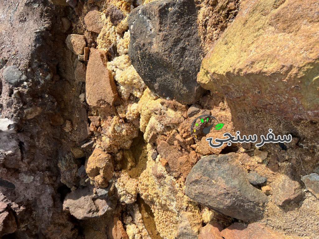 تور نوروزی ۱۴۰۴ گمبرون ، قشم . هنگام . هرمز