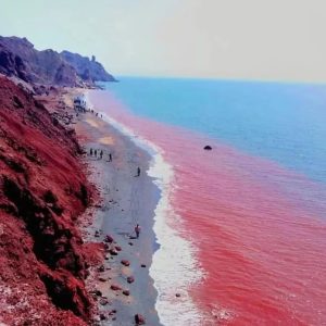 تور جزیره رنگارنگ هرمز 4.5 روزه (3 روز و 2 شب) آرند تور در وبسایت سفرسنجی