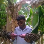 شرکت گردشگری روژان سیر چابهار