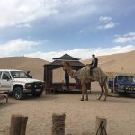 مسعود ابراهیمی اجاره آفرود برای کمپ کویری سندباد یزد