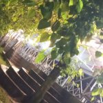 مجتمع اقامتی فانوس جاده ماسوله گیلان