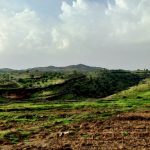 محمدرضا آشوری لیدر محلی در ایلام