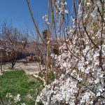 علیرضا آزادبخت اقامتگاه خانک در کوهدشت لرستان