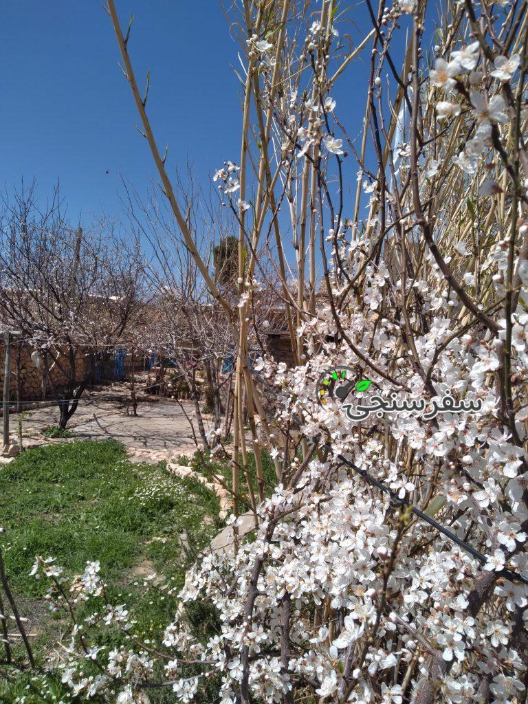 علیرضا آزادبخت اقامتگاه خانک در کوهدشت لرستان