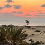 صائب شیرانی لیدر محلی در چابهار