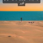 صائب شیرانی لیدر محلی در چابهار