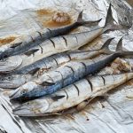 افشین عزیزسلطانی لیدر طبیعت گردی در بندرعباس