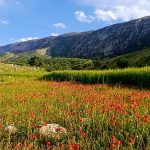 محمدرضا آشوری لیدر محلی در ایلام