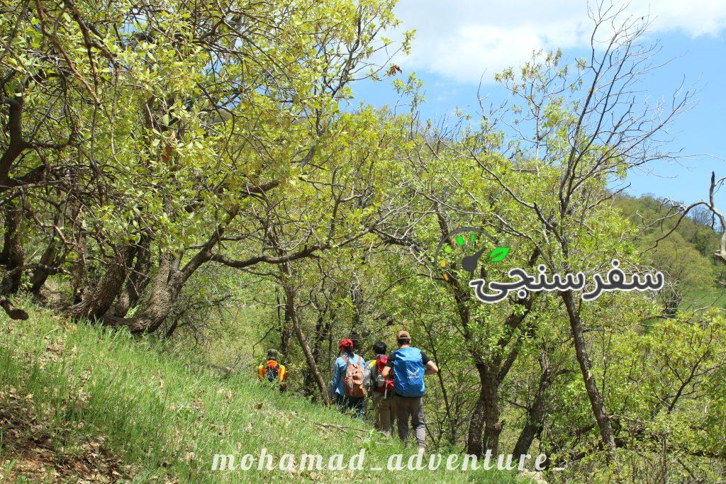 بازدید از آبشار کمتر شناخته شده لرستان