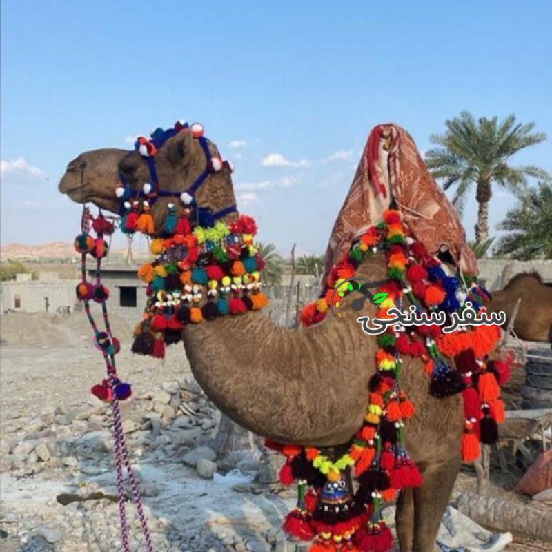 عبدالجلیل شه بخش لیدرمحلی با سابقه 5سال چابهار