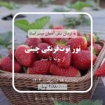 تور توت‌فرنگی‌چینی