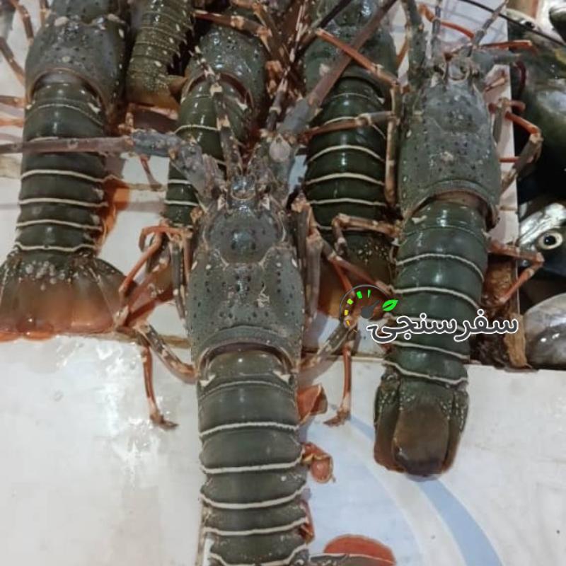 ناصر نیک فرجام لیدر محلی بلد چابهار