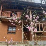 کلبه های چوبی ننه گل در مازندران