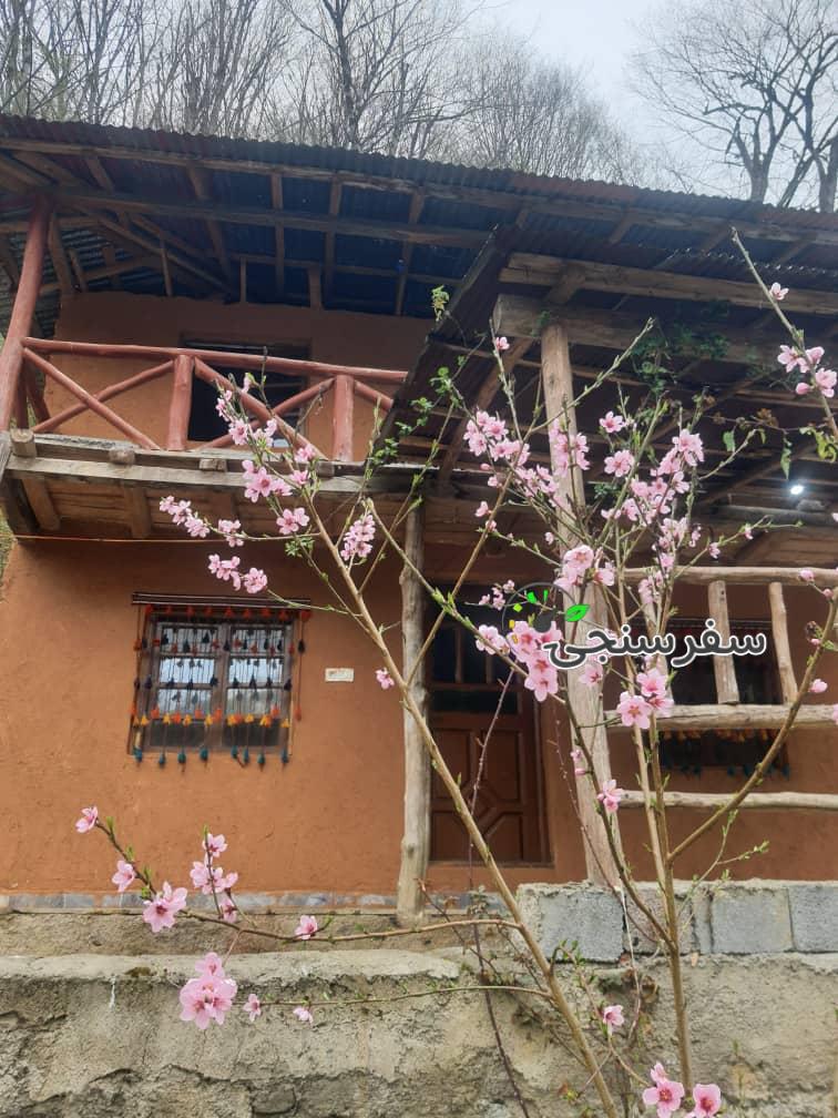 کلبه های چوبی ننه گل در مازندران