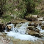 طه درویشی ماهانی لیدر محلی کوهنوردی و طبیعت گردی در کرمان