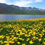 نئور به سوباتان (بدون کوله کشی)