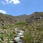 طه درویشی ماهانی لیدر محلی کوهنوردی و طبیعت گردی در کرمان