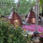 تور گروهی کاشان ویژه گلاب گیری