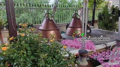 تور گروهی کاشان ویژه گلاب گیری
