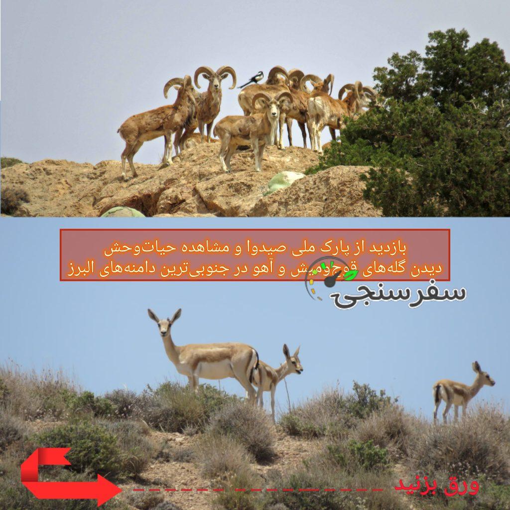 تور گذر دامنههای البرز