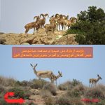 تور گذر دامنههای البرز