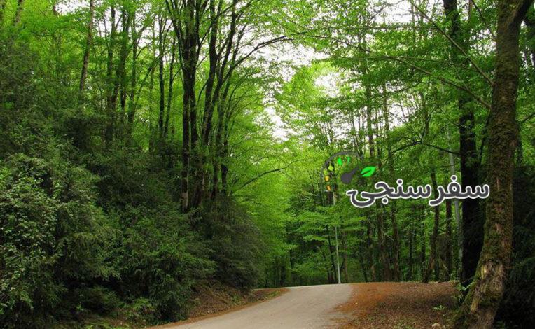 تور سد و جنگل لفور