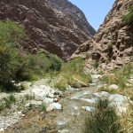 طه درویشی ماهانی لیدر محلی کوهنوردی و طبیعت گردی در کرمان