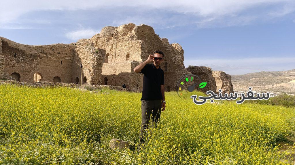 محمد کریمی راهنمای ایرانگردی در شیراز