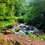 پیمایش و کمپ جنگلی خلخال به اسالم