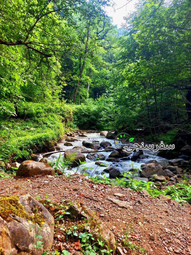 پیمایش و کمپ جنگلی خلخال به اسالم