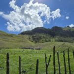 تور ترکینگ سوها به لاتون