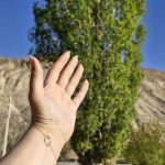 تور ویژه بانوان سیمین‌دشت و خمده