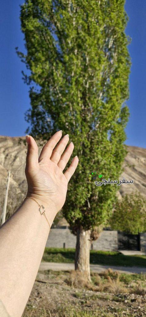 تور ویژه بانوان سیمیندشت و خمده